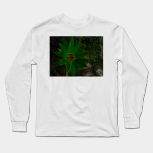 Her Name is Miss Daisy Green Long Sleeve T-Shirt